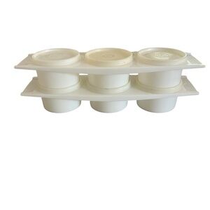Tupperware Vintage 3 in 1 Condiment Tray With Lids 732-2 Set of Two
